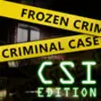 Icon of program: Frozen Criminal Case - CS…