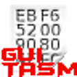 Icon of program: GUI Turbo Assembler