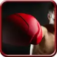 Icon of program: Boxing Ultimate Knock Out…