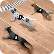 Icon of program: Racing Dog Simulator: Cra…