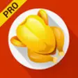 Icon of program: Yummy Chicken Recipes Pro