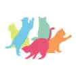 Icon of program: More Cats: cat videos, ph…