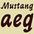 Icono de programa: Mustang Pro FlipFont