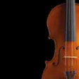 Icon of program: Real Violin for iPad
