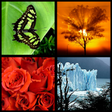 Icono de programa: Photo Wall FX Live Wallpa…