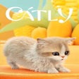 Icono de programa: Catly