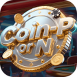 Icon of program: Coin-P or N