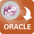 Icono de programa: AccessToOracle