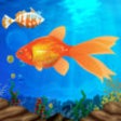 Icon of program: Hungry Fish Lite
