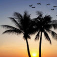 Icono de programa: DayNight Multi Live Wallp…