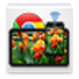 Icono de programa: Gallery Cast Pro