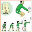 Icono de programa: volleyball technique