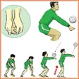 Icon of program: volleyball technique