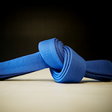 Icon of program: Brazilian Jiu Jitsu Blue …