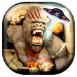 Icono de programa: Action Movie FX App