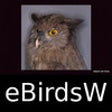 Icon of program: Birds of the World - eBir…