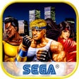 Icon of program: Streets of Rage