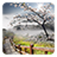 Icono de programa: Spring Sunrise Live Wallp…