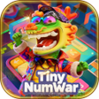 Icon of program: Tiny NumWar