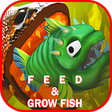 Icon of program: Feed And Grow  The Fish G…