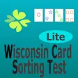 Icon of program: Wisconsin Card Sorting Te…