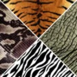 Icon of program: Animals Skin Wallpapers -…