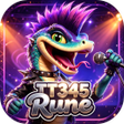 Icono de programa: TT345Rune
