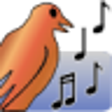 Icon of program: Nicole Perretta's Bird Ca…