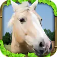 Icon of program: Wild Horse Simulator
