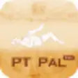 Icon of program: PT Pal Pro