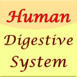 Icon of program: Human Digestive System Gu…