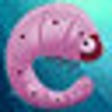 Icon of program: Evolver