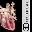 Icon of program: Heart Pro III - iPhone Ed…