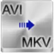 Icon of program: Free AVI to MKV Converter