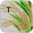 Icon of program: Rice Telugu