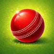 Icon of program: CricketTap: Reaction Game