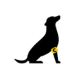 Icono de programa: Cappitan: Rescate  Adopci…