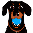 Icon of program: CrusoeMoji - Celebrity Da…