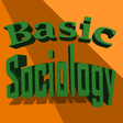 Icon of program: Basic Sociology