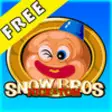 Icon of program: Snow Bros Free