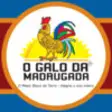 Icon of program: Galo da Madrugada 2014
