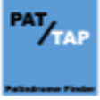 Icon of program: Palindromifier for Window…