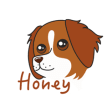Icon of program: Honey the Brittany Spanie…