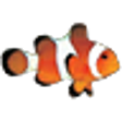 Icon of program: Clownfish for Teamspeak