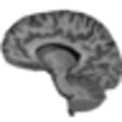 Icono de programa: NeuroSlice