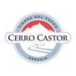 Icon of program: Cerro Castor Snow App