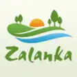 Icon of program: Zalanka