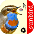 Icono de programa: Bird Song Id: Auto Recogn…