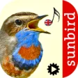 Icon of program: Bird Song Id: Auto Recogn…