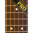 Icon of program: Fret Master PRO